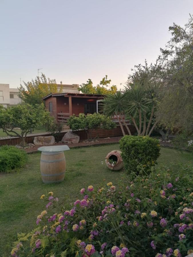 Villa Paquita - Delta De L'Ebre デルテブレ エクステリア 写真